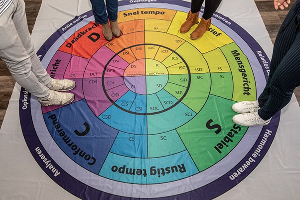 DISC team analyse