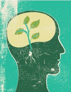 Cultuur in DevOps, stimuleren van leren