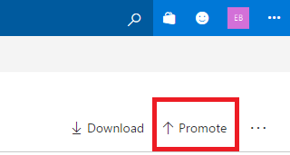 Package Management Promote release view