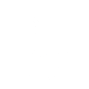 KNVB