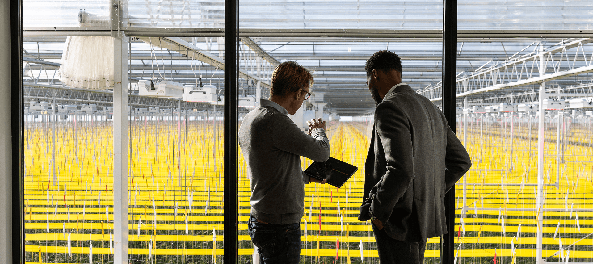 Ridder tuinbouw quote achtergrond